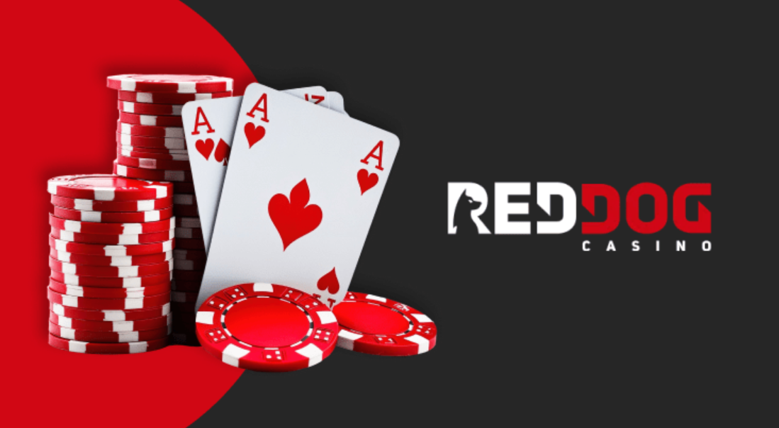 Red Dog Casino: Review of Bonus Programs 2